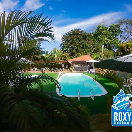 Roxy'S Bed & Breakfast Boca Chica Bagian luar foto