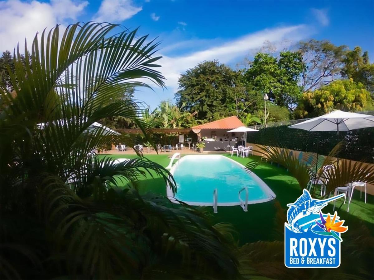 Roxy'S Bed & Breakfast Boca Chica Bagian luar foto