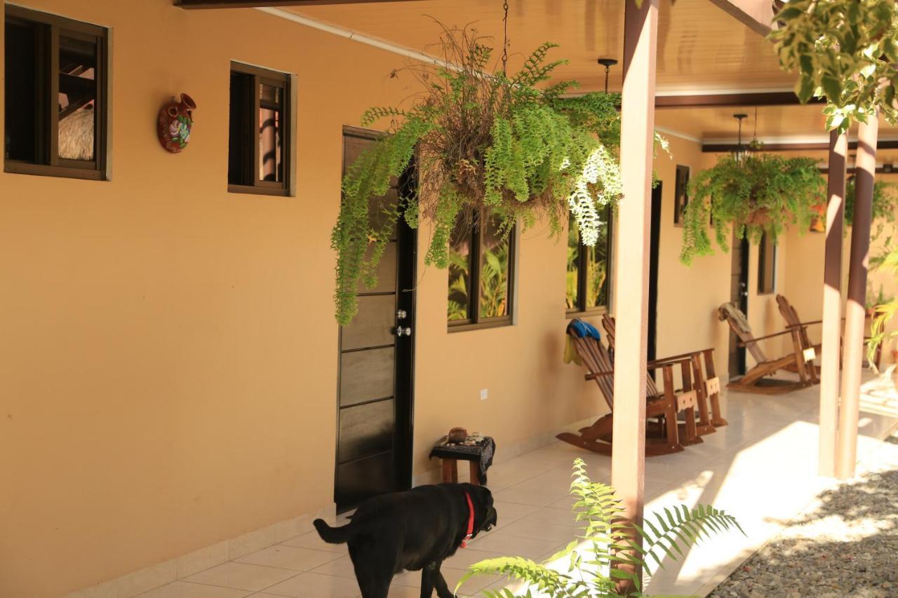 Roxy'S Bed & Breakfast Boca Chica Bagian luar foto